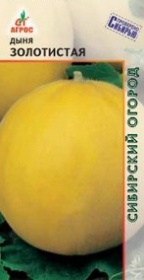Дыня Золотистая 10шт 
