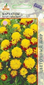 Бархатцы Петит Гармония 0,3гр /однолетник