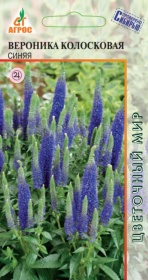 Вероника Колосковая Синяя 0,1г