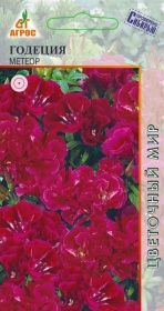 Годеция Крупноцветковая Метеор 0,2 /однолетник
