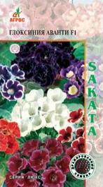 Глоксиния Аванти F1 Блу 8шт др Sakata 