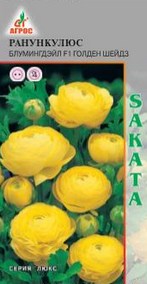 Ранункулюс Блюмингдейл F1 Голден Шейдз Sakata 