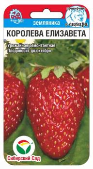 Земляника Королева Елизавета 10шт /крупноплодный сорт