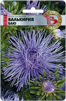 Астра Валькирия SELECT Блю 30шт китайская /однолетник