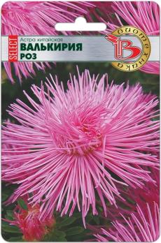 Астра Валькирия SELECT Роз 30шт китайская /однолетник