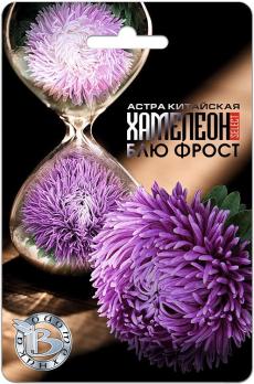 Астра Хамелеон SELECT Блю Фрост 30шт китайская /однолетник