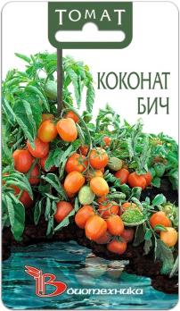 Томат Коконат Бич                