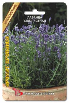 Лаванда узколистная Аромат прованса 
