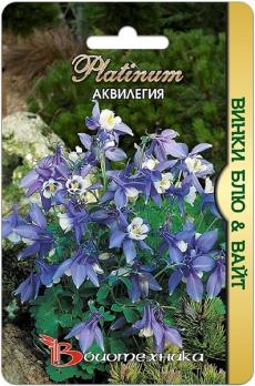 Аквилегия Винки Блю & Вайт 10с /многолетник