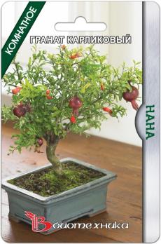 Гранат Карликовый Нана /5шт 