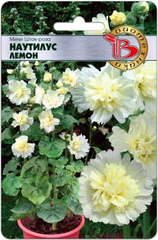 Шток-Роза Наутилус Лемон МИНИ /8шт