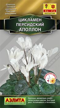 Цикламен персидский Аполлон 3с /комнатные