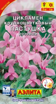 Цикламен персидский Пастушка Розовый 3с /комнатные