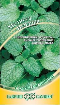 Мелисса Исидора лекарственная  0,1 г сер.Семена от автора