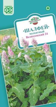 Шалфей Вознесенский 24 0,3гр сер.Лекарственный огород /эфиромасличный лекарственный и декоративный