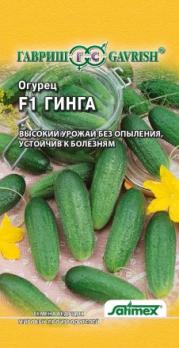 Огурец Гинга F1 0,3гр Лучшие европейские производители /среднеспелый