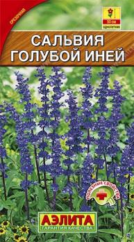 Сальвия Голубой Иней 0,2г Н50см /однолетник