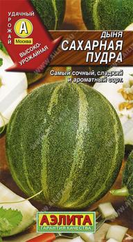 Дыня Сахарная пудра