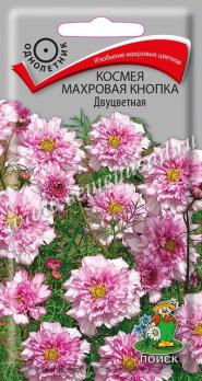Космея Двуцветная 0,1гр махровая кнопка /однолетник