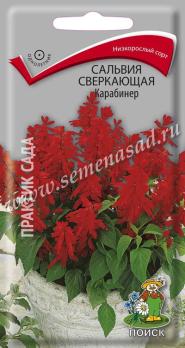 Сальвия Карабинер 0,1гр сверкающая /однолетник