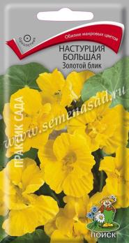 Настурция Золотой Блик 1гр большая /однолетник