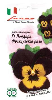 Виола Пандора французская роза 5шт сер.Фарао Н18