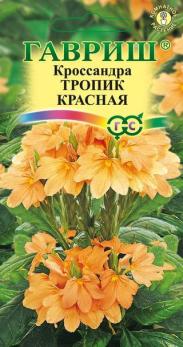 Кроссандра Тропик Красная 3шт  сер.Элитная клумба /комнатные