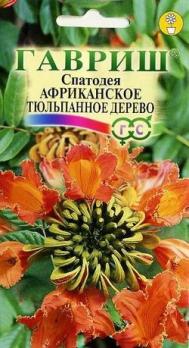 Спатодея Африканское (тюльпанное дерево) 0,05г. 