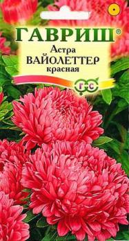 Астра Вайолеттер КРАСНАЯ 0,3гр пионовидная  Н80см /однолетник