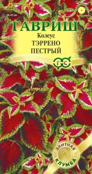 Колеус Тэррено Пестрый 5шт сер.Элитная клумба /однолетник