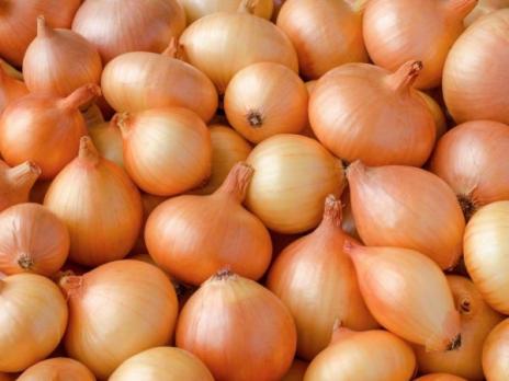 Лук-севок (15кг±8%) Стурон КРупный Россия Урожай 2021г.