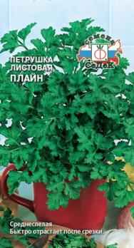 Петрушка листовая Плайн 2гр /среднеспелый сорт