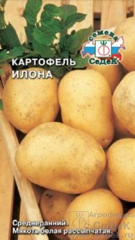 Картофель Илона /50с (среднеран,бел)