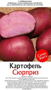 КАРТОФЕЛЬ (10шт) СЮРПРИЗ СуперЭлита /розовая мякоть