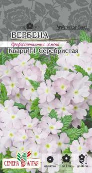 Вербена Кварц Серебристая 5шт Н30см сер.Профессион.семена /однолетник