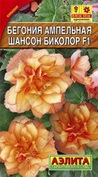 Бегония ампельная Шансон Биколор F1 /10с (драже в пробирке) Н40см /однолетник
