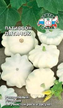 Патиссон Пятачок