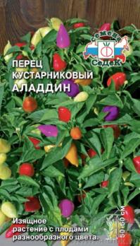 Перец острый Аладдин кустарниковый