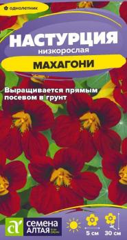 Настурция Махагони 0,5гр низкорослая /однолетник