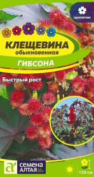 Клещевина Гибсона 3шт /однолетник