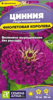 Цинния Фиолетовая Королева 0,2гр георгиновидная /однолетник