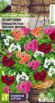 Пеларгония Цветной Фонтан Плющелистная 3 шт сел.Floranova сер.Ампельные Шедевры /комнатные
