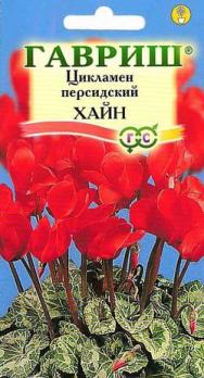 Цикламен персидский Хайн 3шт /комнатные