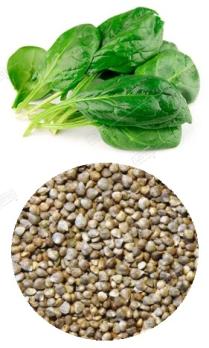 Шпинат Диетический 2гр среднеспел