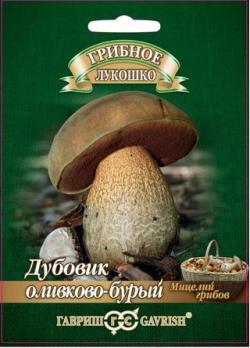 Гриб ДУБОВИК оливково-бурый на зерновом субстрате 15мл