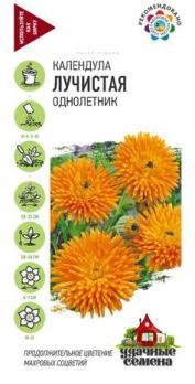 Календула Лучистая 0,3гр сер.Удачные семена /однолетник