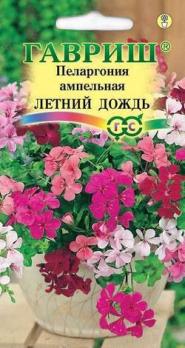 Пеларгония Летний Дождь ампельная, СМЕСЬ 3шт /комнатные
