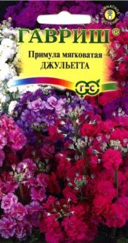 Примула Джульетта Мягковатая 10шт Н30см /комнатные