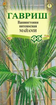 Вашингтония нитеносная Майами 3шт /комнатные