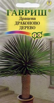 Драцена Драконовое Дерево 3шт /комнатные